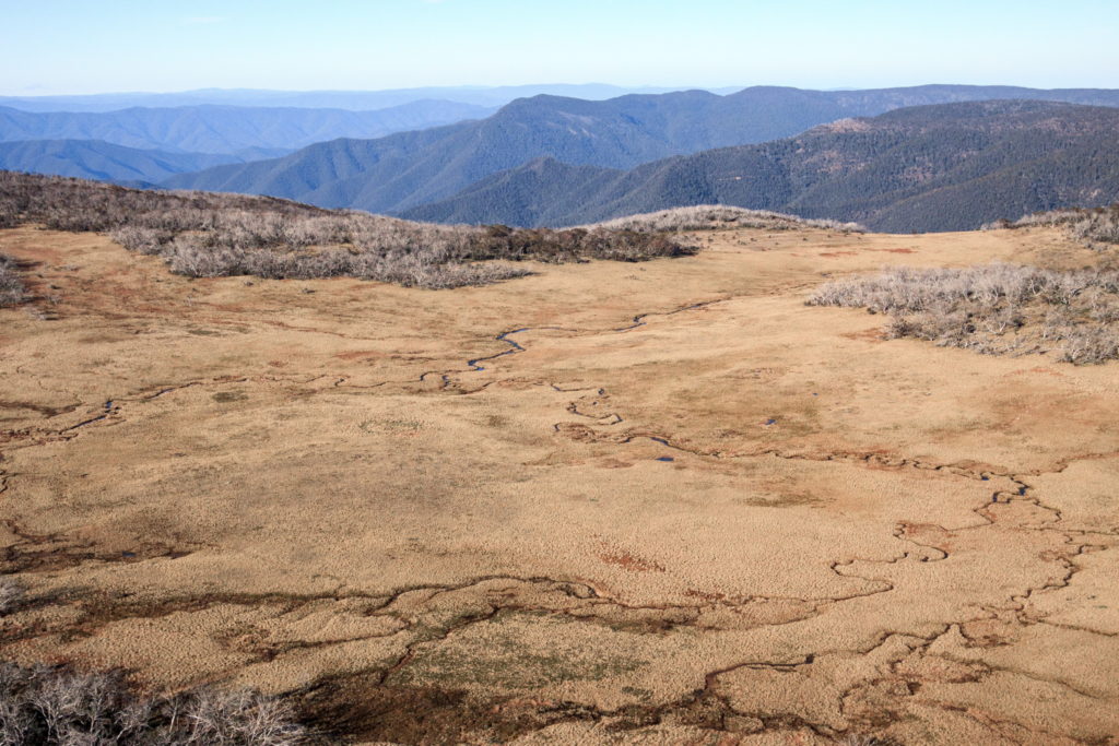 Aerial view up above Mt Baw Baw Alpine Peatlands