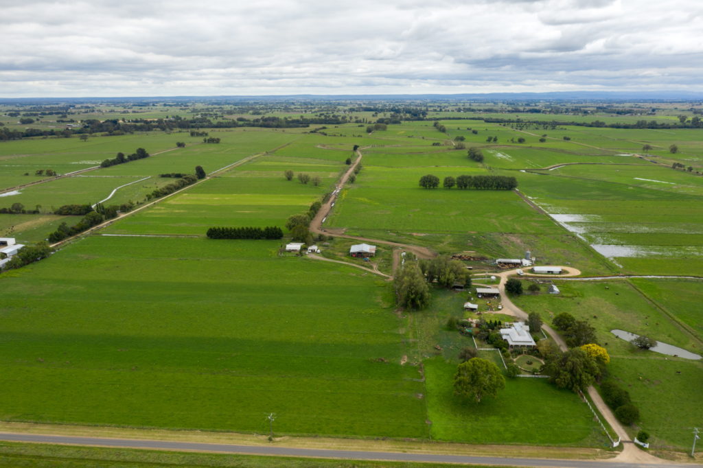 An aerial shot of a dairy farm in the Macalister Irrigation District