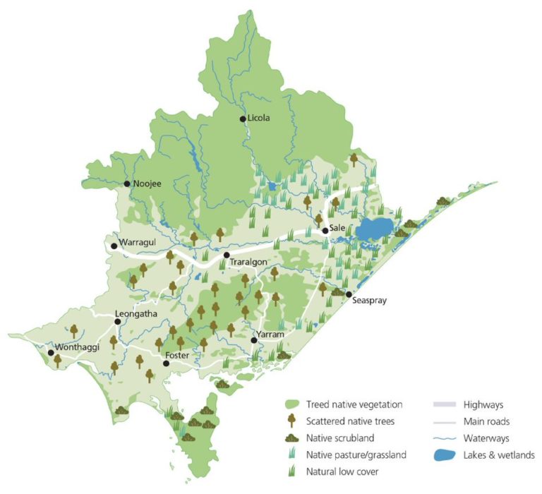 A map showing the native vegetation cover in the West Gippsland Catchment Management region